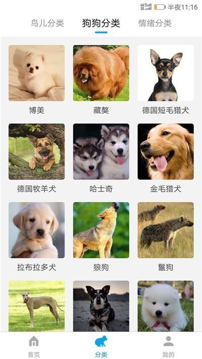 动物翻译器图1